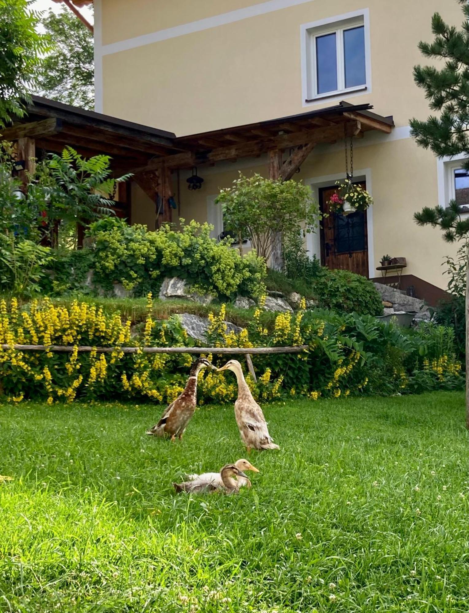 Apartamento Heissgut Altenmarkt im Pongau Exterior foto